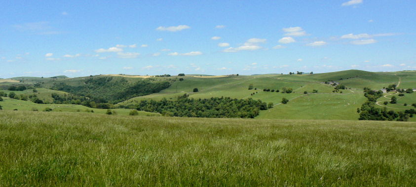 Castern Wood Castern Wood